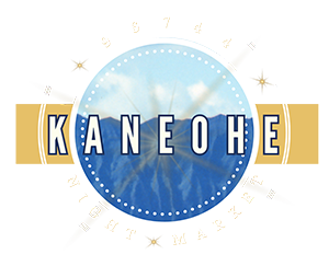 Kaneohe Night Market – Kaneohe's Biggest Festival